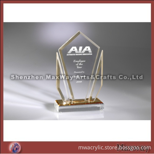 Custom Printing Acrylic Award